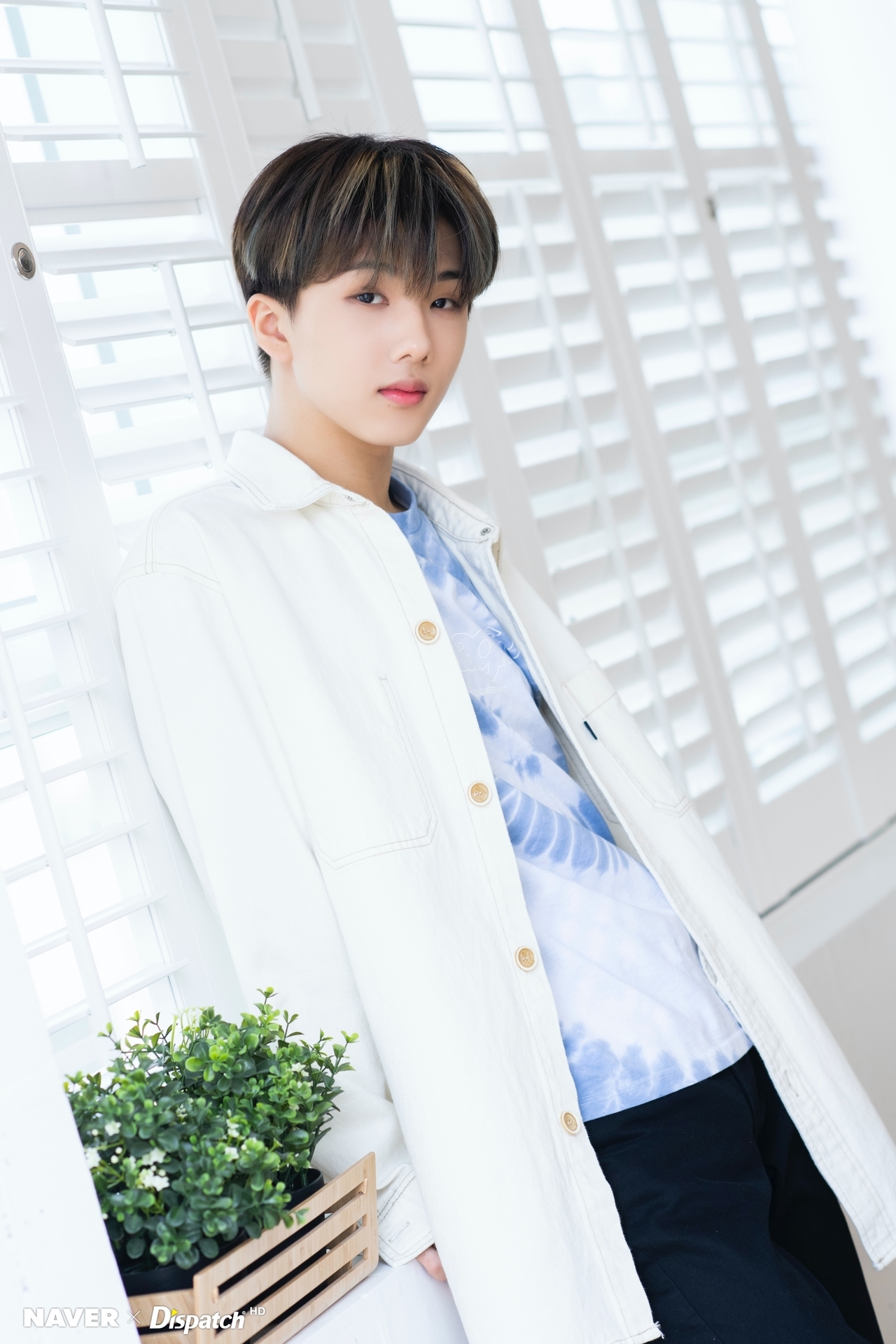 Nct Dream Jisung パク チソン K Pop Photo Album