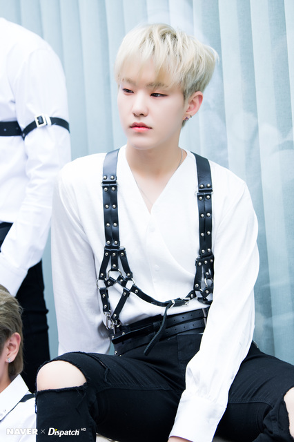 SEVENTEEN(HOSHI-クォン・スニョン): ♪K-POP PHOTO ALBUM♪